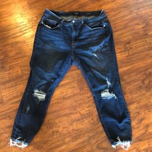 Judy blue jeans size 20